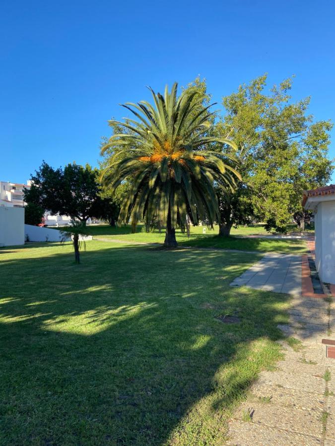 New Algarvegas Paradise Apartment 阿尔布费拉 外观 照片