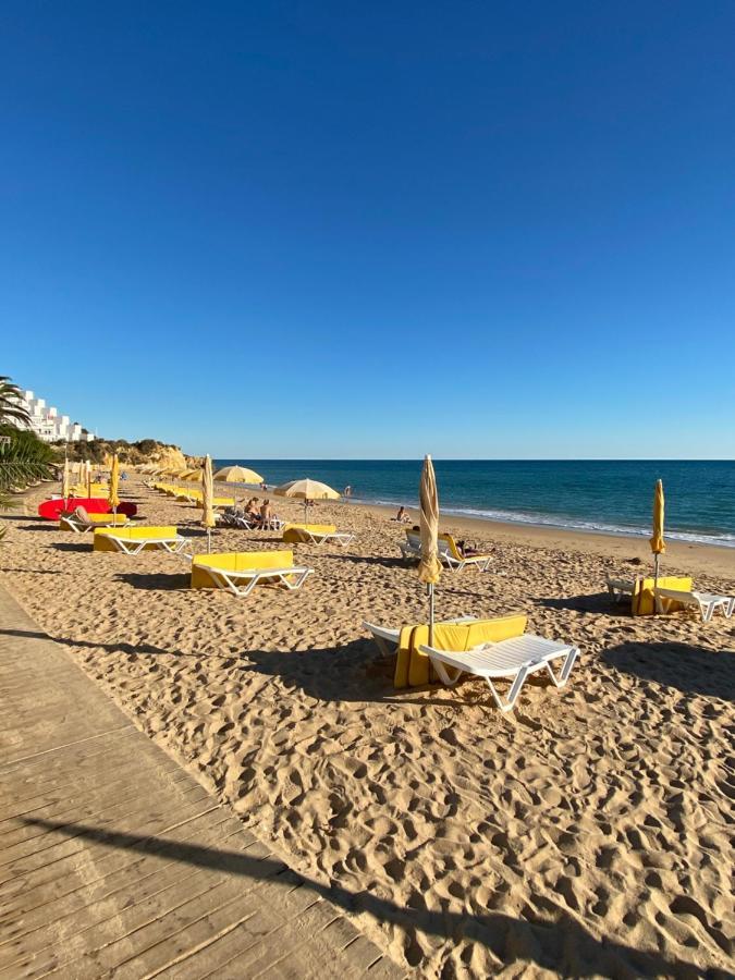 New Algarvegas Paradise Apartment 阿尔布费拉 外观 照片