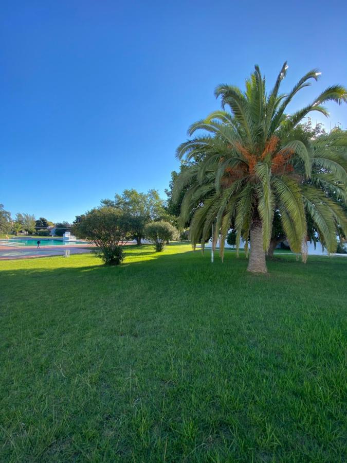 New Algarvegas Paradise Apartment 阿尔布费拉 外观 照片