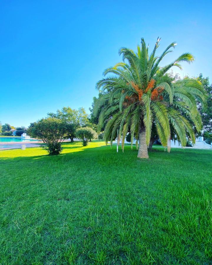 New Algarvegas Paradise Apartment 阿尔布费拉 外观 照片