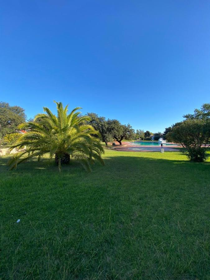 New Algarvegas Paradise Apartment 阿尔布费拉 外观 照片