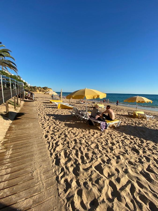 New Algarvegas Paradise Apartment 阿尔布费拉 外观 照片
