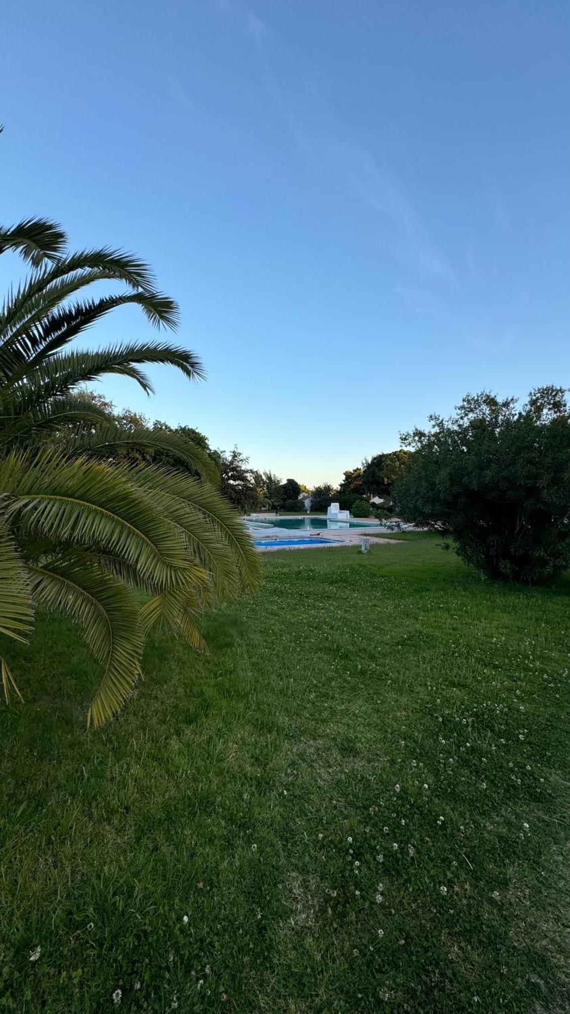 New Algarvegas Paradise Apartment 阿尔布费拉 外观 照片