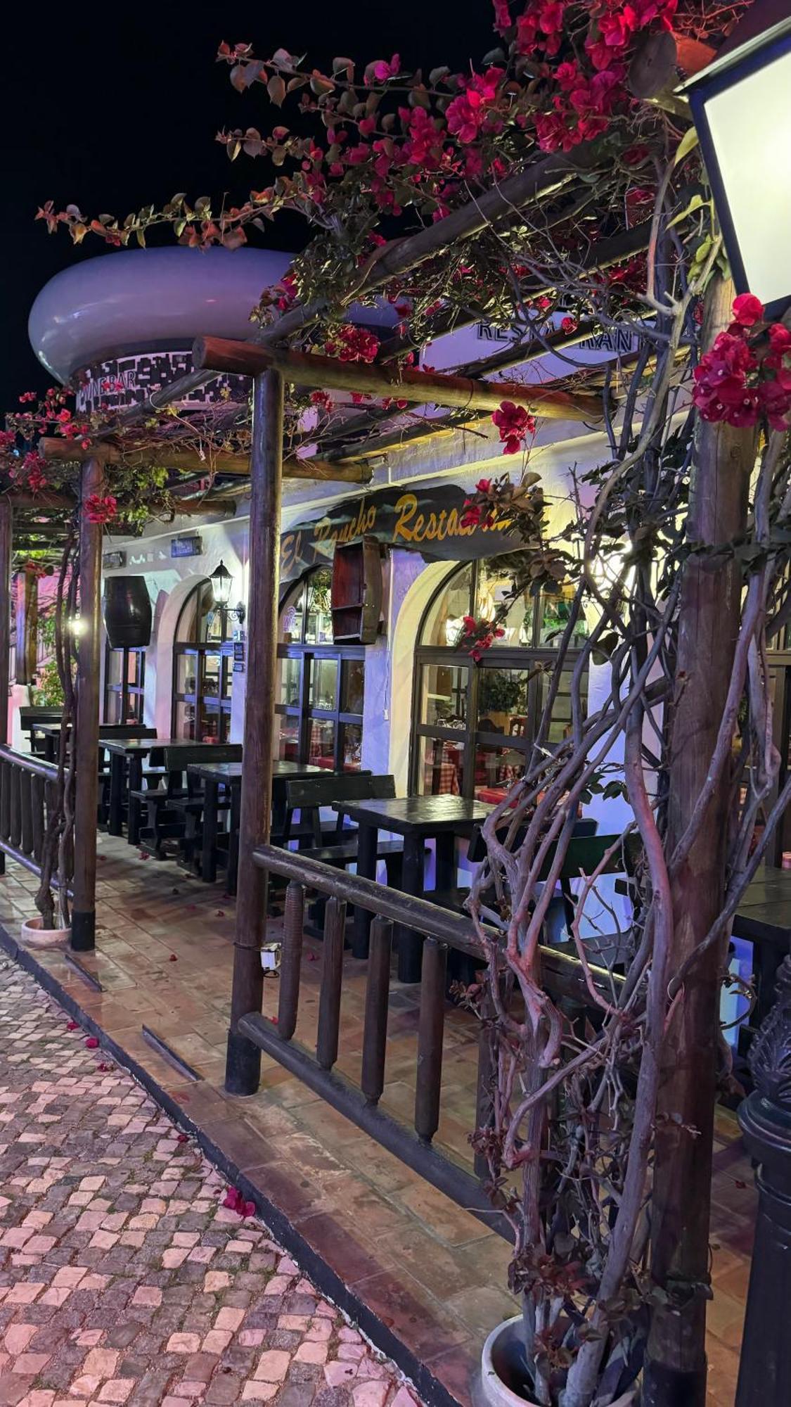 New Algarvegas Paradise Apartment 阿尔布费拉 外观 照片